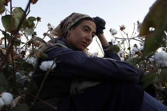 Vivir, pese a todas las adversidades